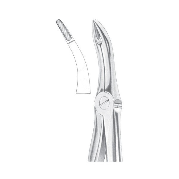 EXTRACTING FORCEPS 