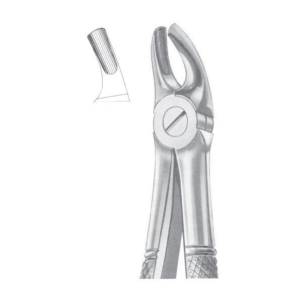 EXTRACTING FORCEPS ' ENGLISH PATTERN'