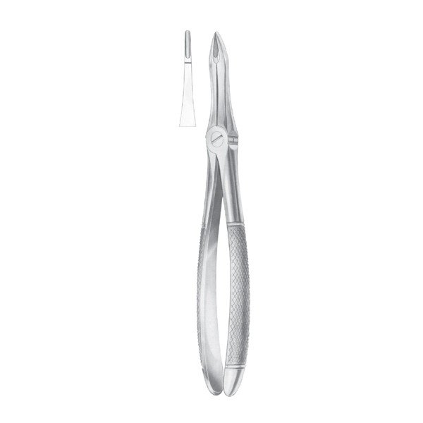 EXTRACTING FORCEPS ' ENGLISH PATTERN'