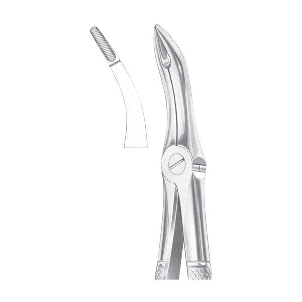 EXTRACTING FORCEPS ' ENGLISH PATTERN'