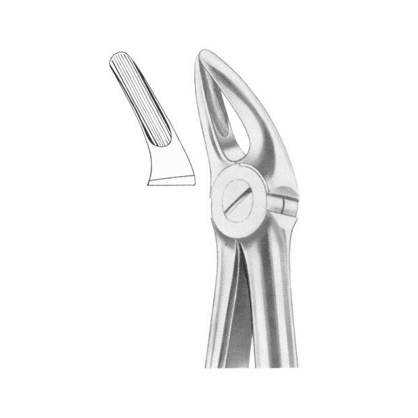 EXTRACTING FORCEPS 'WITH FITTING HANDLE'