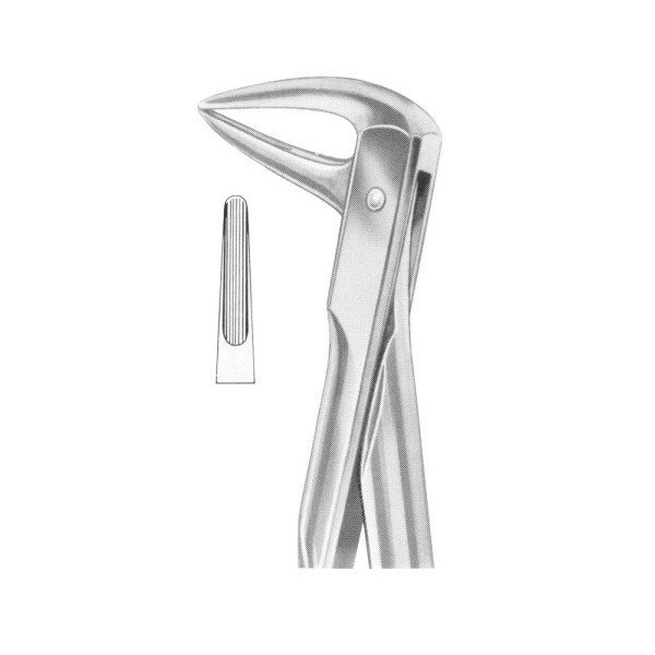 EXTRACTING FORCEPS 'WITH FITTING HANDLE'