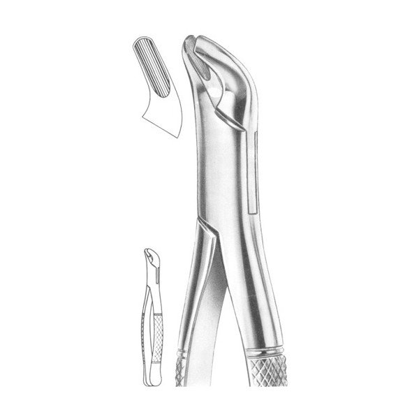 EXTRACTING FORCEPS 'AMERICAN PATTERN'