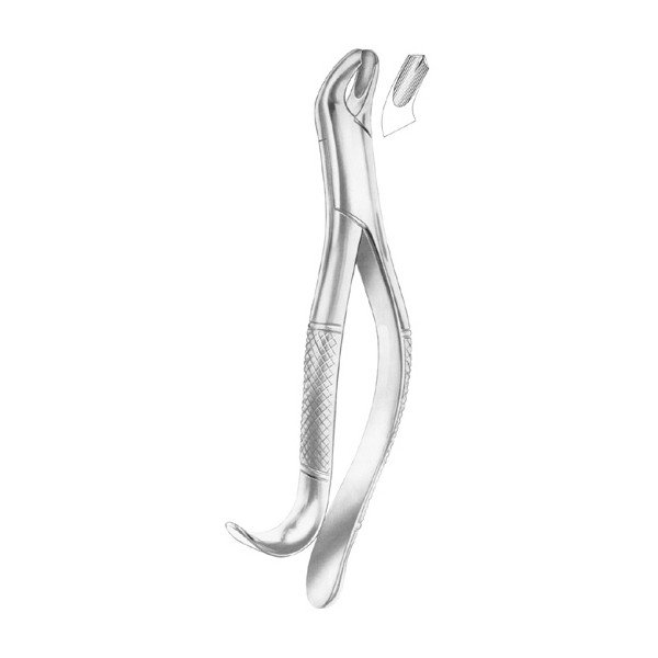 EXTRACTING FORCEPS 'AMERICAN PATTERN'