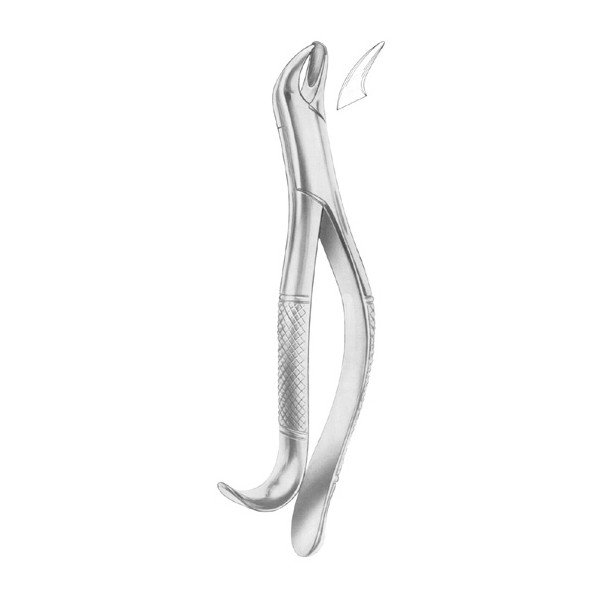 EXTRACTING FORCEPS 'AMERICAN PATTERN'