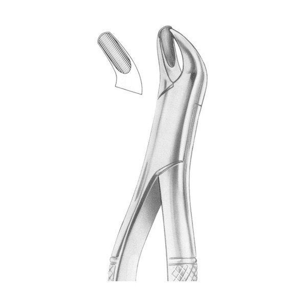 EXTRACTING FORCEPS 'AMERICAN PATTERN'