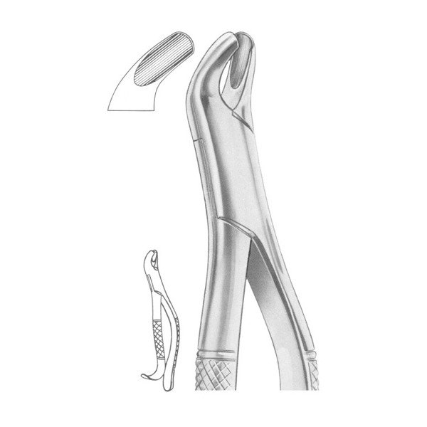 EXTRACTING FORCEPS 'AMERICAN PATTERN'