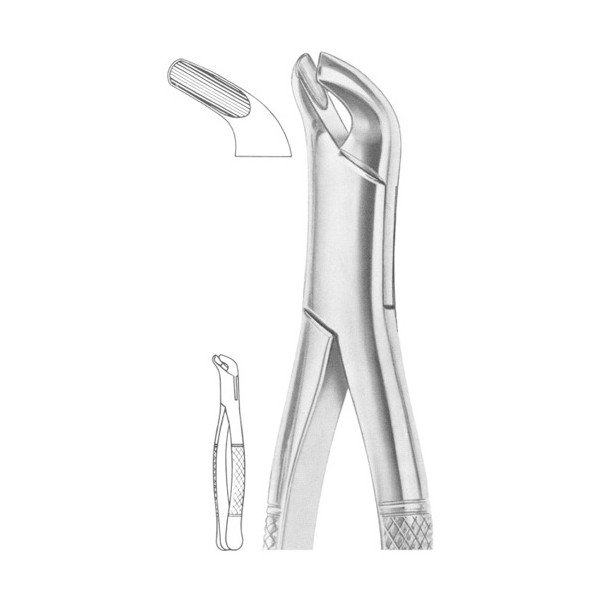 EXTRACTING FORCEPS 'AMERICAN PATTERN'