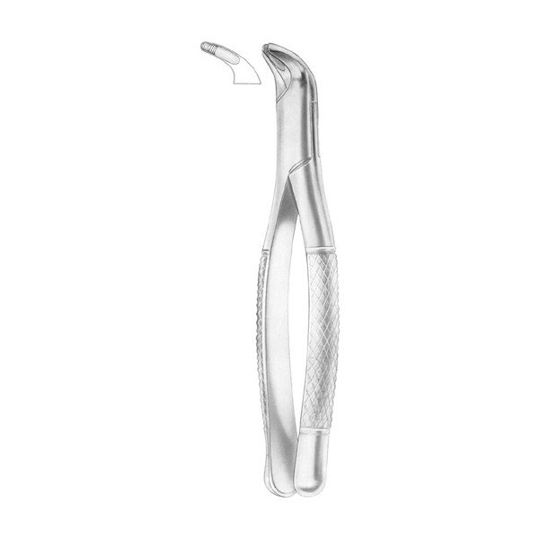 EXTRACTING FORCEPS 'AMERICAN PATTERN'