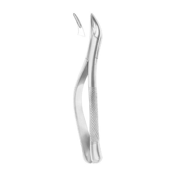 EXTRACTING FORCEPS 'AMERICAN PATTERN'