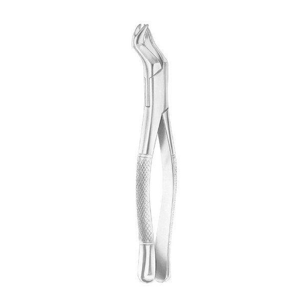 EXTRACTING FORCEPS 'AMERICAN PATTERN'