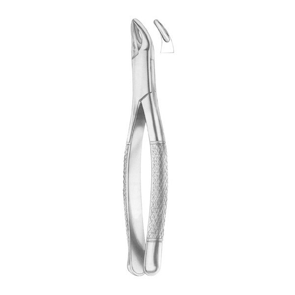 EXTRACTING FORCEPS 'AMERICAN PATTERN'