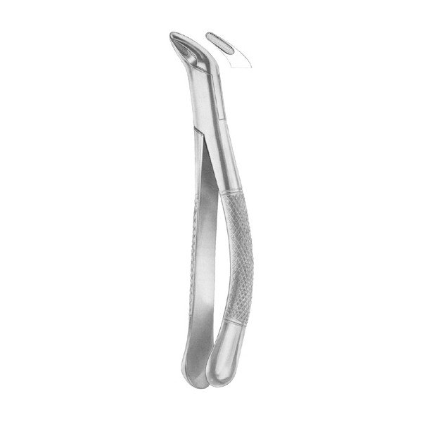 EXTRACTING FORCEPS 'AMERICAN PATTERN'