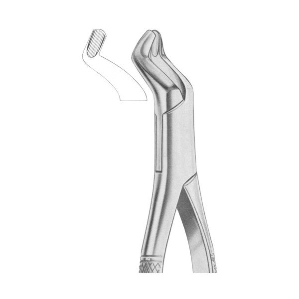 EXTRACTING FORCEPS 'AMERICAN PATTERN'