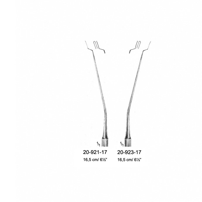 Chisels And Gouge