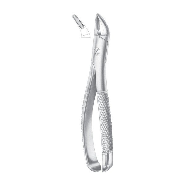 EXTRACTING FORCEPS 'ENGLISH PATTERN'