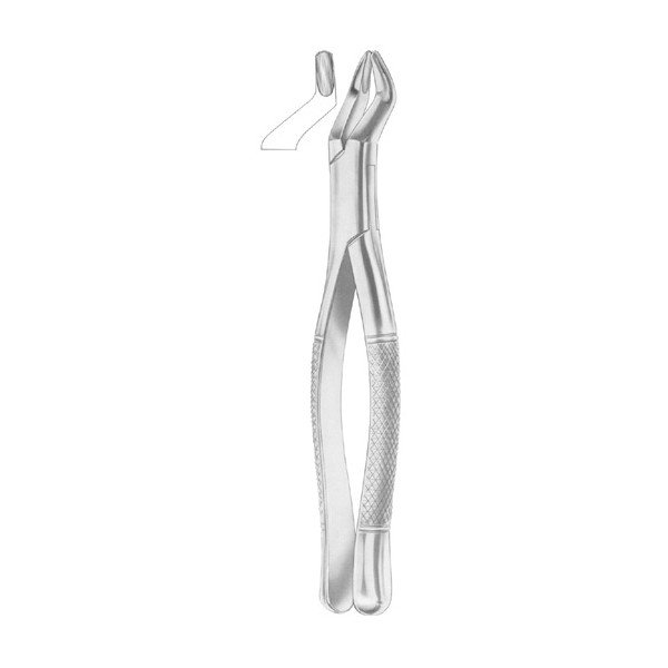 EXTRACTING FORCEPS 'AMERICAN PATTERN'