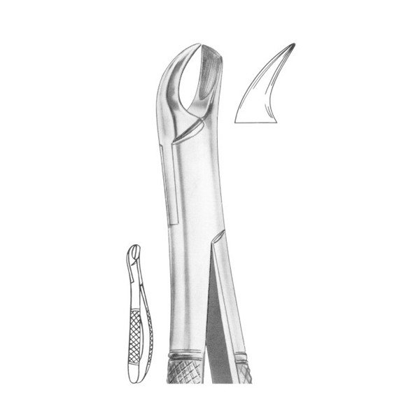 EXTRACTING FORCEPS 'AMERICAN PATTERN'