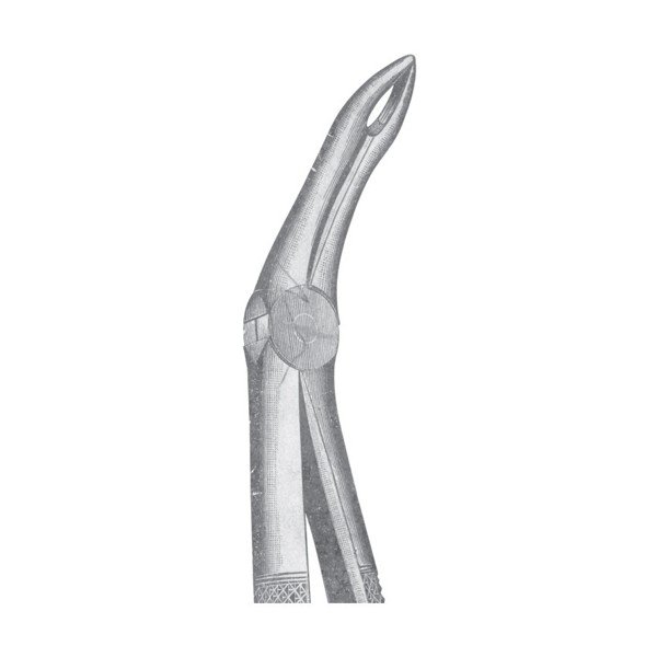 EXTRACTING FORCEPS 