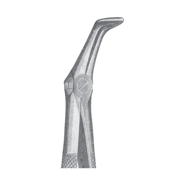 EXTRACTING FORCEPS 