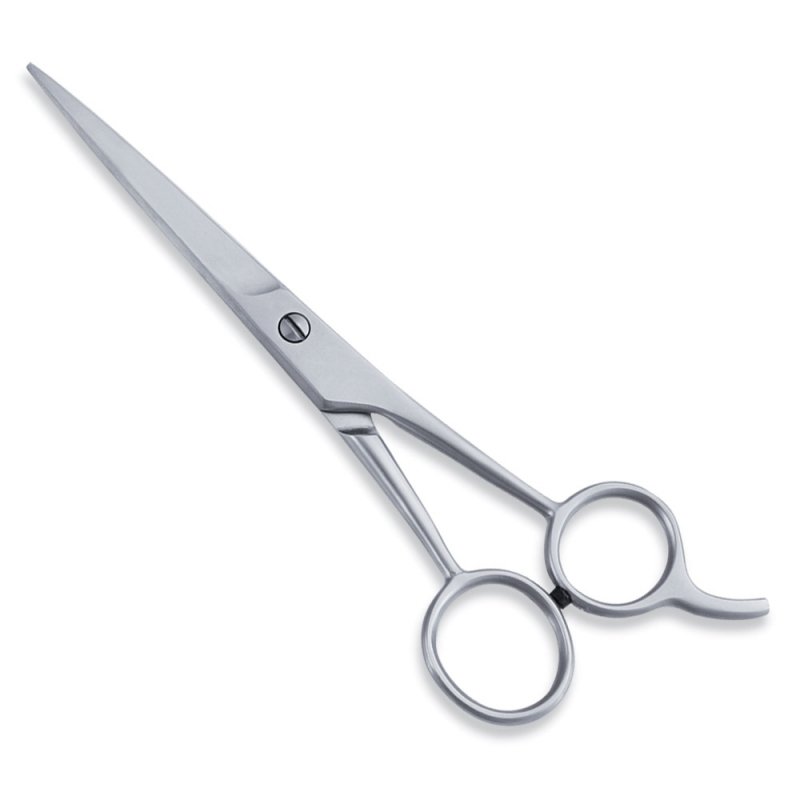 Economy Hair Scissor