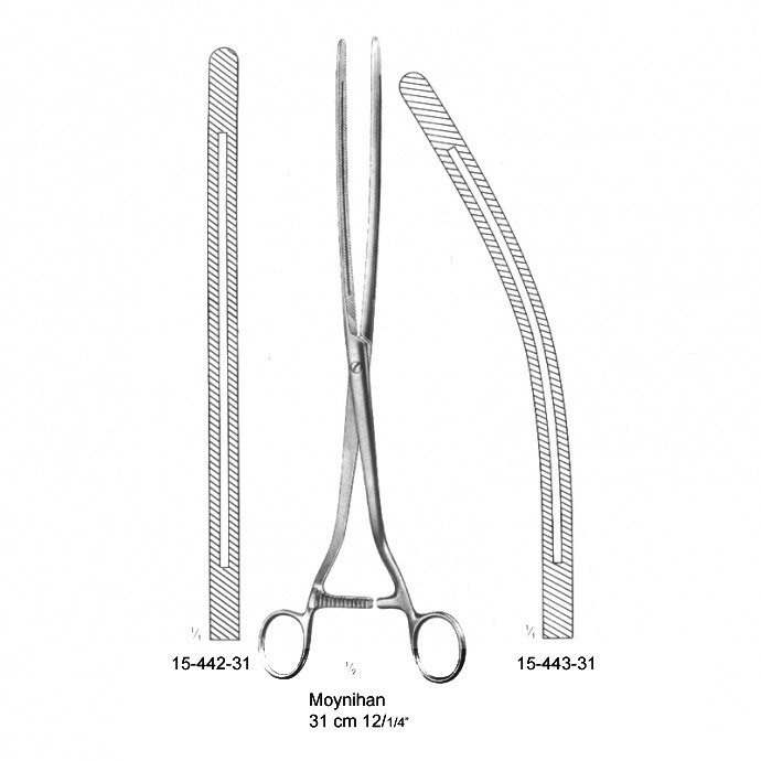 Moynihan, (31 cm)