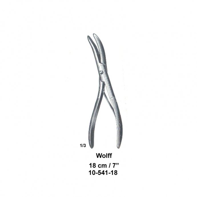 Wolff, 18 cm