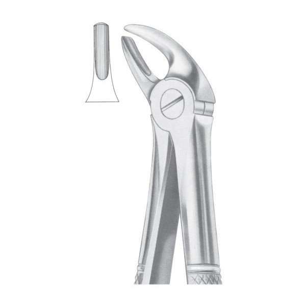 Extracting Forceps 