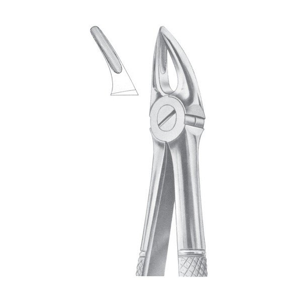 EXTRACTING FORCEPS ' ENGLISH PATTERN'