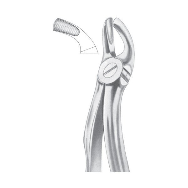 EXTRACTING FORCEPS ' ENGLISH PATTERN'