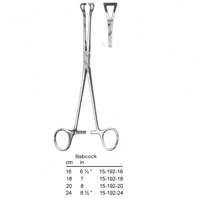 Babcock, (18 cm)