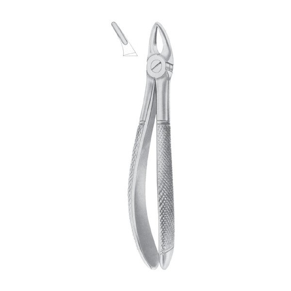 EXTRACTING FORCEPS ' ENGLISH PATTERN'