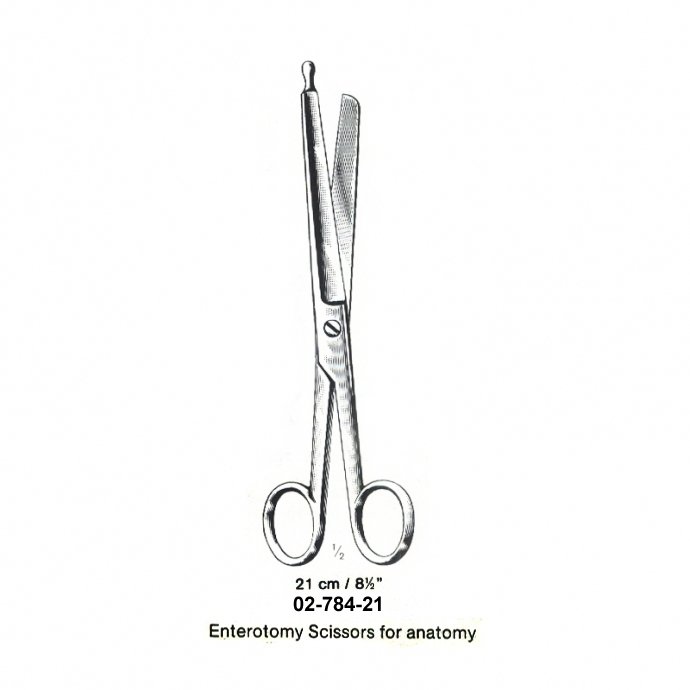 Enterotomy Scissors for anatomy - 21 cm 