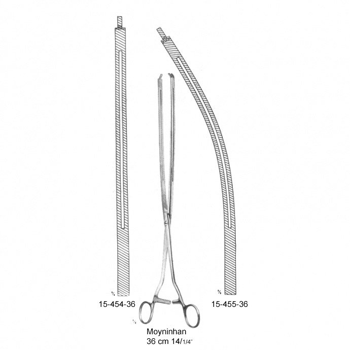 Moynihan, (36 cm)